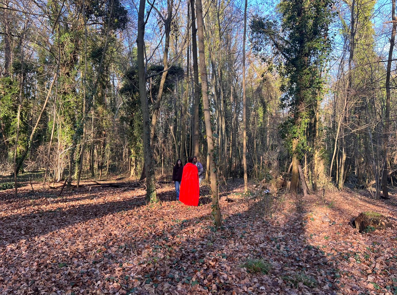 Projet « Collège au cinéma »